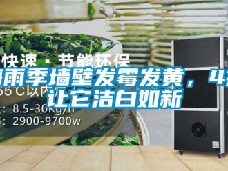 行業新聞梅雨季墻壁發霉發黃，4招讓它潔白如新