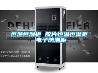 知識百科恒溫恒濕柜 膠片恒溫恒濕柜 電子防潮柜
