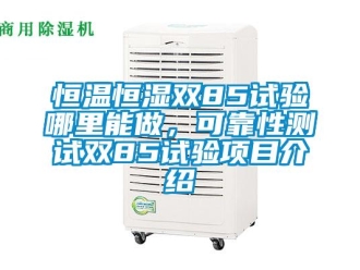 知識百科恒溫恒濕雙85試驗哪里能做，可靠性測試雙85試驗項目介紹