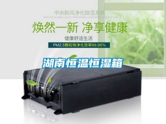 知識(shí)百科湖南恒溫恒濕箱