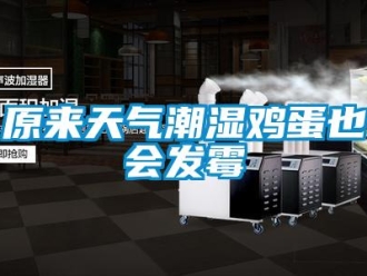 知識百科原來天氣潮濕雞蛋也會發霉