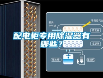 行業(yè)新聞配電柜專用除濕器有哪些？