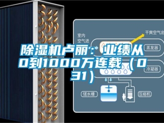 行業新聞除濕機盧麗：業績從0到1000萬連載（031）