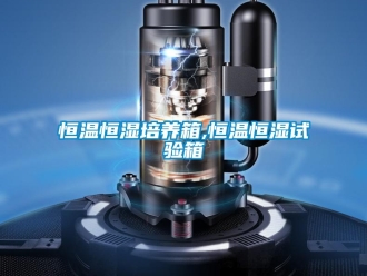 知識百科恒溫恒濕培養(yǎng)箱,恒溫恒濕試驗箱