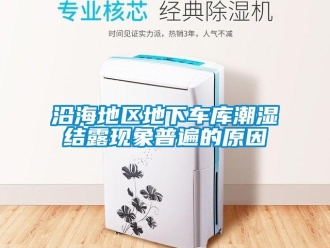 知識百科沿海地區(qū)地下車庫潮濕結露現(xiàn)象普遍的原因