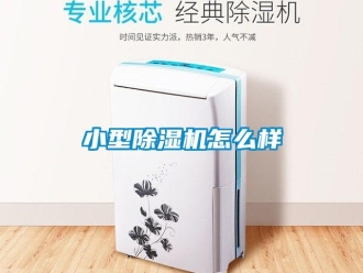 行業新聞小型除濕機怎么樣