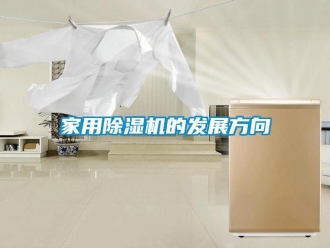 行業新聞家用除濕機的發展方向