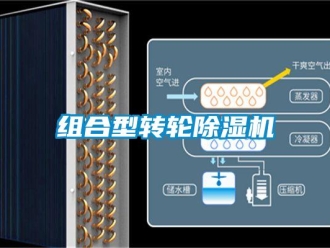 知識(shí)百科組合型轉(zhuǎn)輪除濕機(jī)
