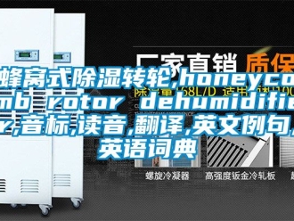 常見問題蜂窩式除濕轉輪,honeycomb rotor dehumidifier,音標,讀音,翻譯,英文例句,英語詞典