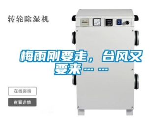 行業新聞梅雨剛要走，臺風又要來……