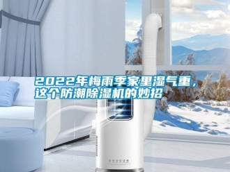 常見問題2022年梅雨季家里濕氣重，這個防潮除濕機的妙招