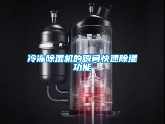 行業(yè)新聞冷凍除濕機的瞬間快速除濕功能