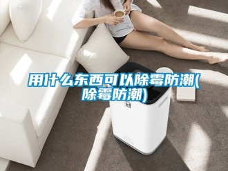 常見問題用什么東西可以除霉防潮(除霉防潮)