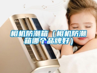 常見問題相機防潮箱（相機防潮箱哪個品牌好）