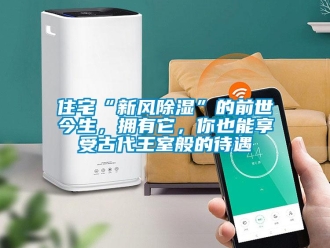 企業新聞住宅“新風除濕”的前世今生，擁有它，你也能享受古代王室般的待遇