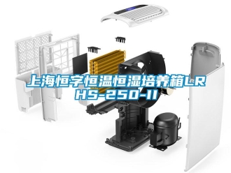 知識百科上海恒字恒溫恒濕培養箱LRHS-250-II