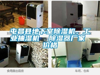企業新聞屯昌縣地下室除濕機，工業抽濕機  除濕器廠家 價格