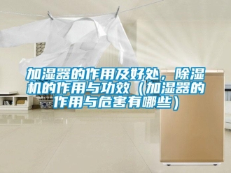 行業(yè)新聞加濕器的作用及好處，除濕機(jī)的作用與功效（加濕器的作用與危害有哪些）