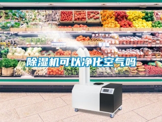 行業新聞除濕機可以凈化空氣嗎