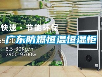 知識百科廣東防爆恒溫恒濕柜