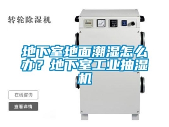企業(yè)新聞地下室地面潮濕怎么辦？地下室工業(yè)抽濕機(jī)