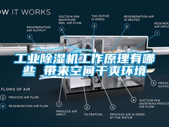 常見問題工業除濕機工作原理有哪些 帶來空間干爽環境
