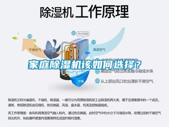 常見問題家庭除濕機該如何選擇？