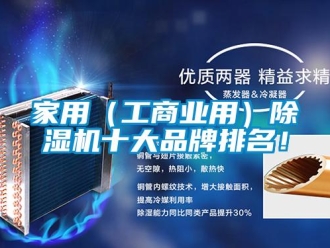 企業(yè)新聞家用（工商業(yè)用）除濕機(jī)十大品牌排名！