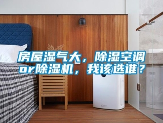 行業新聞房屋濕氣大，除濕空調or除濕機，我該選誰？