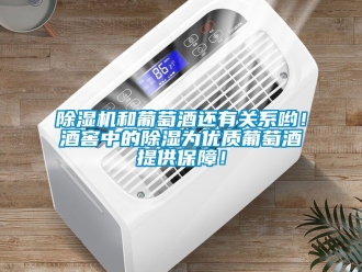 行業新聞除濕機和葡萄酒還有關系喲！酒窖中的除濕為優質葡萄酒提供保障！