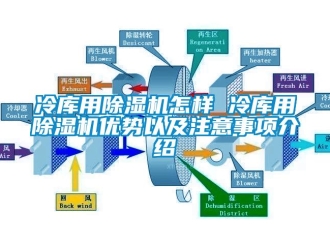 行業(yè)新聞冷庫用除濕機(jī)怎樣 冷庫用除濕機(jī)優(yōu)勢(shì)以及注意事項(xiàng)介紹