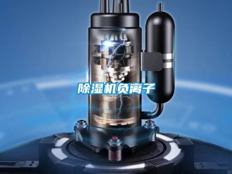 行業(yè)新聞除濕機(jī)負(fù)離子