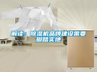 行業(yè)新聞解讀：除濕機(jī)品牌建設(shè)需要腳踏實地