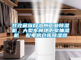 常見問題甘孜藏族自治州工業(yè)除濕機(jī)，大型車間地下室抽濕機(jī)  配電房倉庫除濕器
