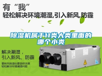 行業(yè)新聞除濕機(jī)屬于11類大類里面的哪個(gè)小類