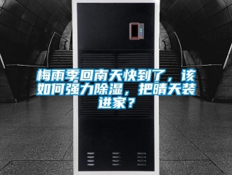 常見問題梅雨季回南天快到了，該如何強力除濕，把晴天裝進家？