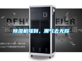 常見問題除濕機駕到，潮氣去無蹤