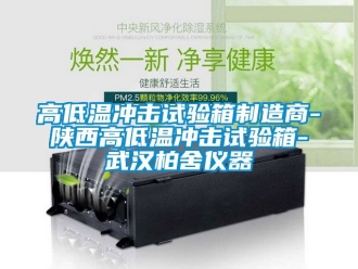 常見問題高低溫沖擊試驗箱制造商-陜西高低溫沖擊試驗箱-武漢柏舍儀器