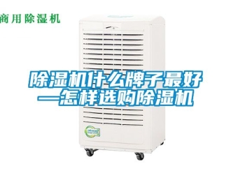 行業新聞除濕機什么牌子最好—怎樣選購除濕機