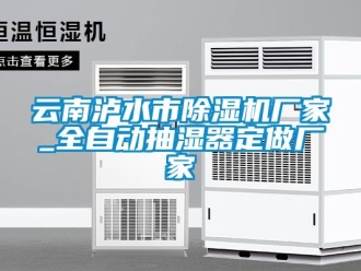 企業(yè)新聞云南瀘水市除濕機(jī)廠家_全自動(dòng)抽濕器定做廠家