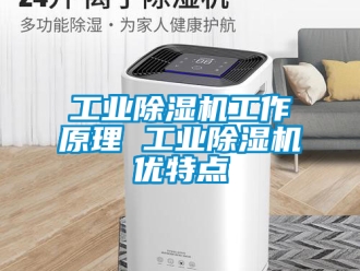 常見問題工業(yè)除濕機(jī)工作原理 工業(yè)除濕機(jī)優(yōu)特點(diǎn)