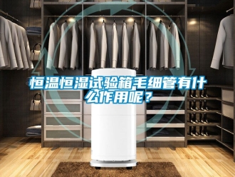 知識百科恒溫恒濕試驗箱毛細管有什么作用呢？