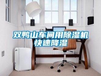 企業新聞雙鴨山車間用除濕機快速降濕