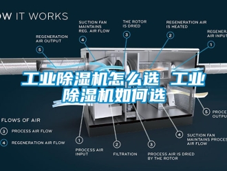 常見問題工業(yè)除濕機怎么選 工業(yè)除濕機如何選