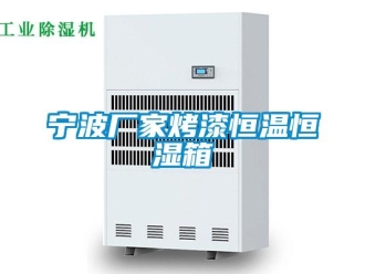 知識百科寧波廠家烤漆恒溫恒濕箱