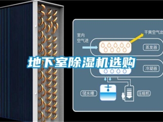 行業新聞地下室除濕機選購