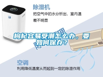 常見問題枸杞容易受潮怎么辦，要如何保存？