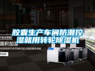 行業(yè)新聞膠囊生產(chǎn)車間防潮控濕就用轉輪除濕機