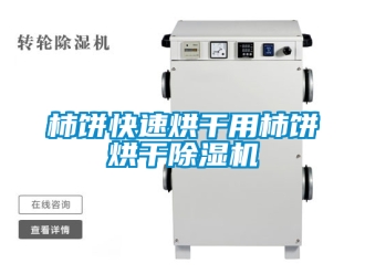 行業新聞柿餅快速烘干用柿餅烘干除濕機