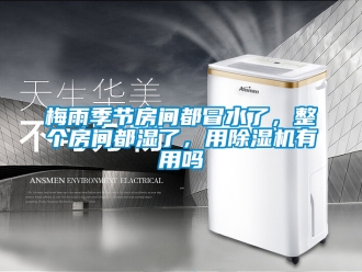 行業(yè)新聞梅雨季節(jié)房間都冒水了，整個(gè)房間都濕了，用除濕機(jī)有用嗎